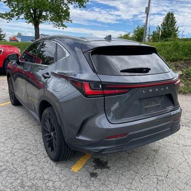 2023 Lexus NX 350 Premium