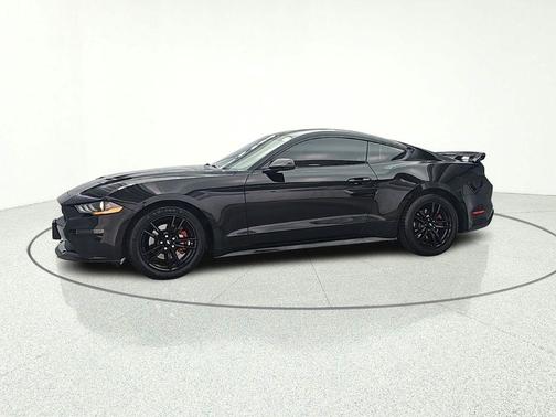 Shadow Black 2019 Ford Mustang EcoBoost