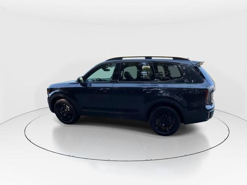 Panthera Metal 2025 Kia Telluride SX Prestige X-Line