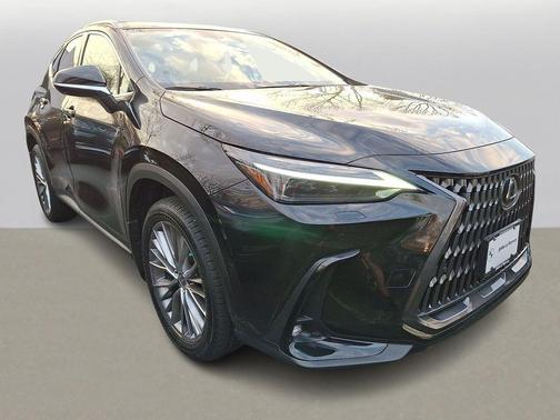 2024 Lexus NX 350h Luxury