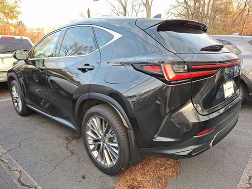 2024 Lexus NX 350h Luxury