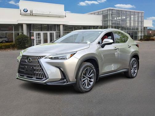 Cloudburst Gray 2024 Lexus NX 350h Premium