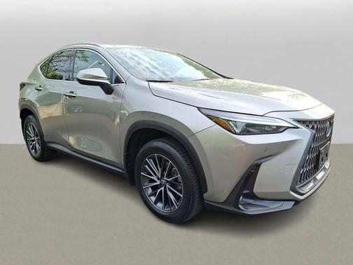 Cloudburst Gray 2024 Lexus NX 350h Premium