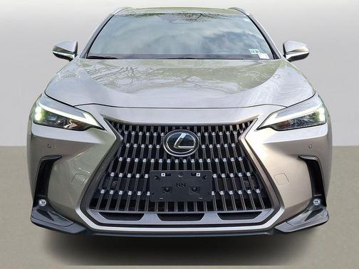 Cloudburst Gray 2024 Lexus NX 350h Premium