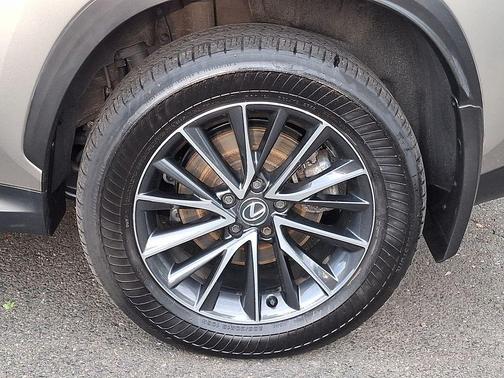 Cloudburst Gray 2024 Lexus NX 350h Premium