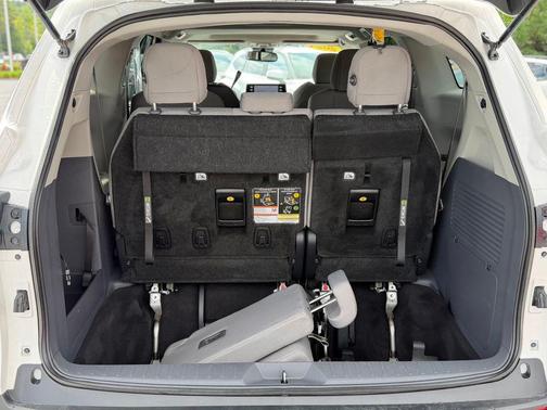 Ice 2024 Toyota Sienna LE