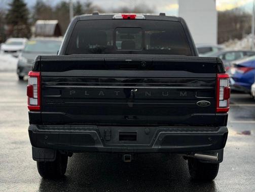 2022 Ford F-150 Platinum