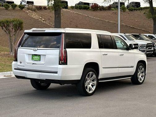 2019 Cadillac Escalade ESV Luxury