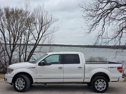 2014 Ford F-150 Platinum