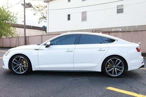 Ibis White 2019 Audi S5 3.0T Prestige
