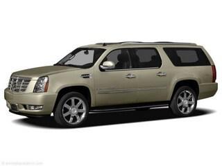 Gold Mist Metallic 2011 Cadillac Escalade ESV Base