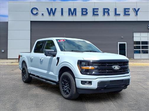 Space Gray 2025 Ford F-150 XLT