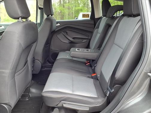 Magnetic 2018 Ford Escape SE