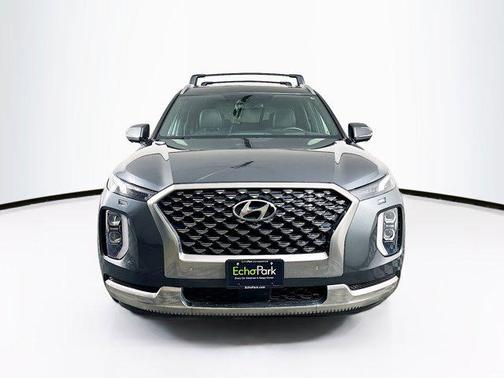 Rainforest 2022 Hyundai PALISADE Calligraphy