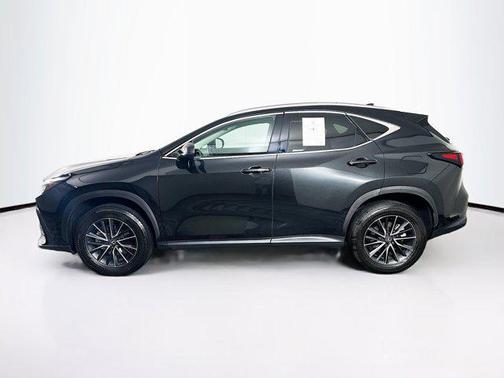 2024 Lexus NX 250 NX 250