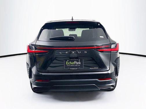 2024 Lexus NX 250 NX 250