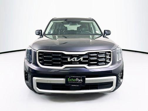 Panthera Metal 2025 Kia Telluride S