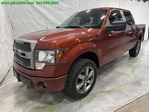 Sunset Metallic 2014 Ford F-150 STX