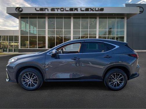 Cloudburst Gray 2024 Lexus NX 350 Premium