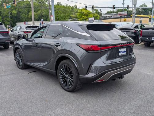 Cloudburst Gray 2025 Lexus RX 350 Premium