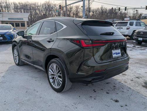 2025 Lexus NX 350 Premium