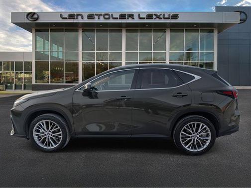 2025 Lexus NX 350 Premium