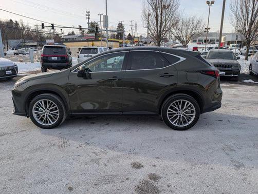 2025 Lexus NX 350 Premium