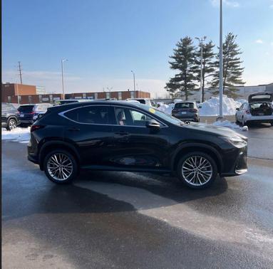 2023 Lexus NX 350 Luxury