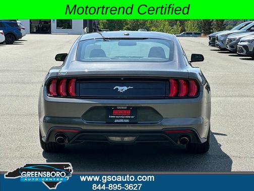 Magnetic 2019 Ford Mustang EcoBoost
