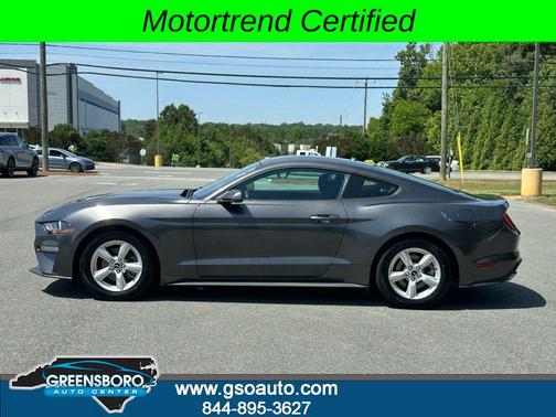 Magnetic 2019 Ford Mustang EcoBoost