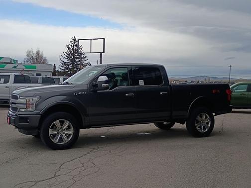 Magnetic Metallic 2020 Ford F-150 Platinum
