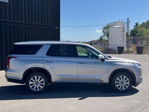 Typhoon Silver 2025 Hyundai PALISADE SEL