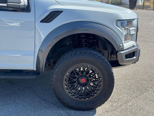 Avalanche 2017 Ford F-150 Raptor