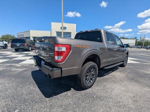 STONE GRAY METALLIC 2022 Ford F-150 TREMOR