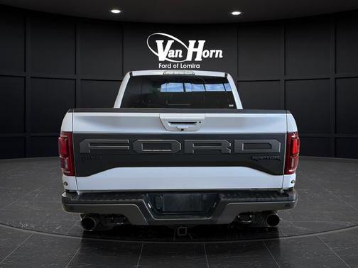 Oxford White 2019 Ford F-150 Raptor
