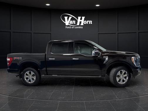 2021 Ford F-150 Platinum