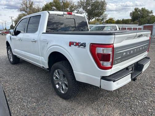 2021 Ford F-150 Platinum