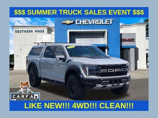 Avalanche 2024 Ford F-150 Raptor