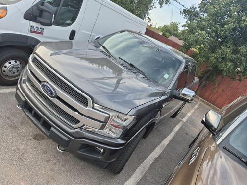 Magnetic Metallic 2019 Ford F-150 Platinum