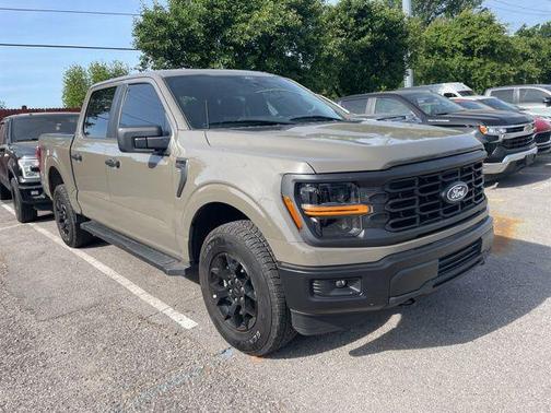 Marsh Gray 2025 Ford F-150 STX