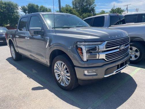 Carbonized Gray Metallic 2025 Ford F-150 Platinum