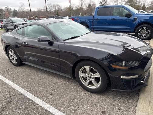 2023 Ford Mustang EcoBoost
