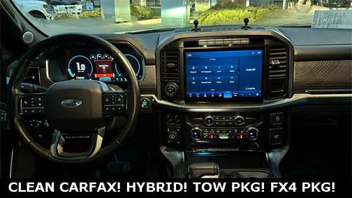 2021 Ford F-150 Platinum