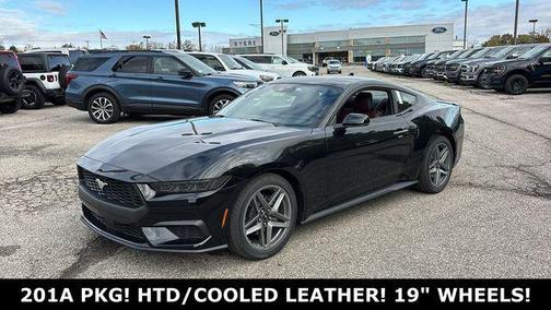 Shadow Black 2026 Ford Mustang EcoBoost Premium