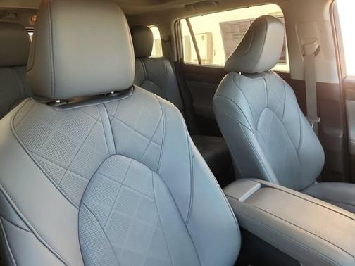 Moon Dust 2020 Toyota Highlander Platinum