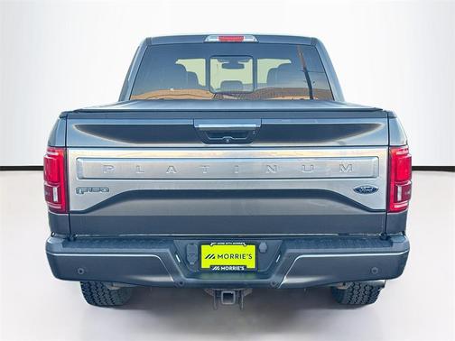 2015 Ford F-150 Platinum