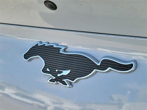 2021 Ford Mustang Mach-E CALIFORNIA ROUTE 1