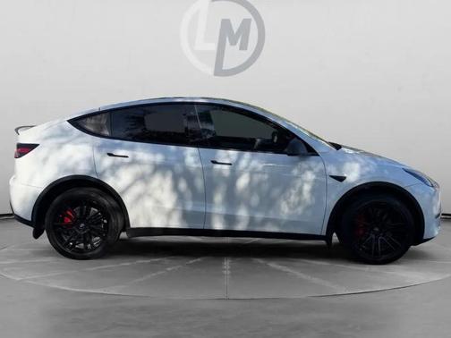 2020 Tesla Model Y Performance Dual Motor All-Wheel Drive