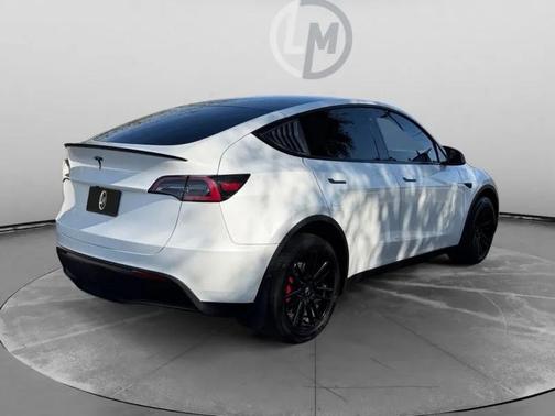 2020 Tesla Model Y Performance Dual Motor All-Wheel Drive