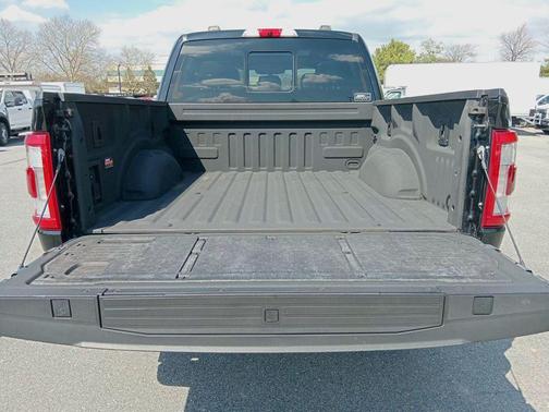 Agate Black Metallic 2022 Ford F-150 Platinum